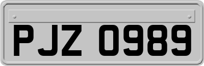 PJZ0989