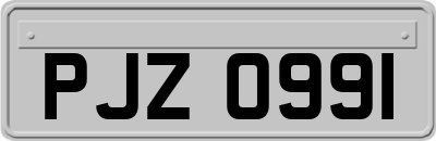 PJZ0991
