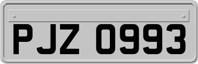 PJZ0993