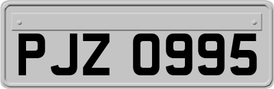 PJZ0995