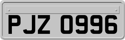 PJZ0996