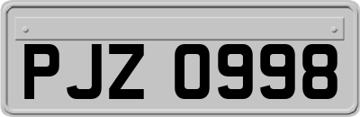 PJZ0998