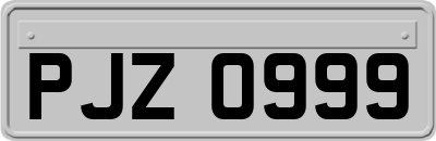 PJZ0999