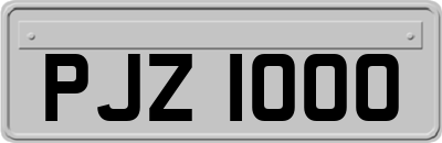 PJZ1000