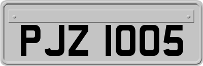 PJZ1005