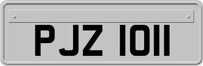 PJZ1011