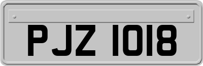 PJZ1018