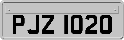 PJZ1020