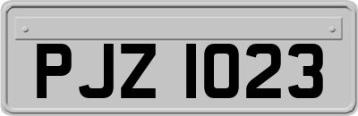 PJZ1023