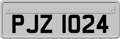 PJZ1024
