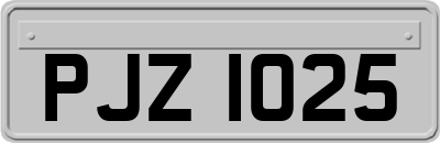 PJZ1025