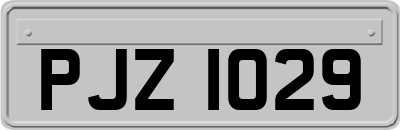 PJZ1029