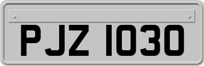 PJZ1030