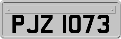 PJZ1073