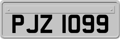 PJZ1099