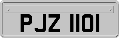 PJZ1101