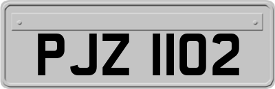 PJZ1102