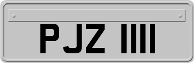 PJZ1111