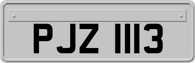 PJZ1113