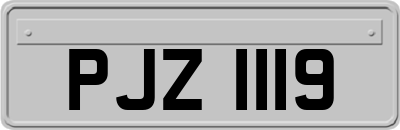 PJZ1119