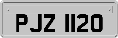 PJZ1120
