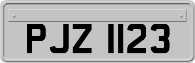 PJZ1123
