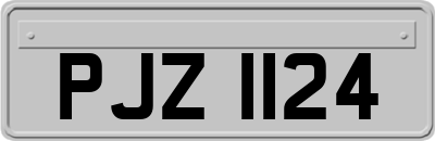 PJZ1124