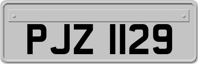PJZ1129
