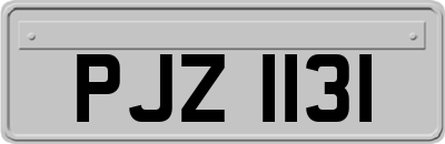 PJZ1131
