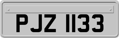 PJZ1133