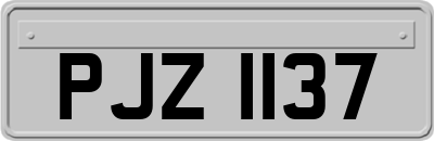 PJZ1137