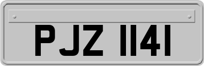 PJZ1141