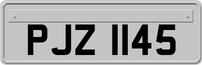 PJZ1145