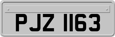 PJZ1163