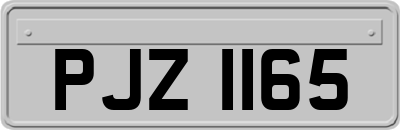 PJZ1165