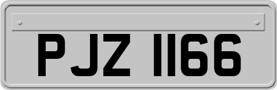 PJZ1166