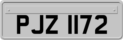 PJZ1172