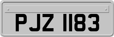 PJZ1183