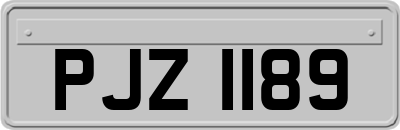 PJZ1189