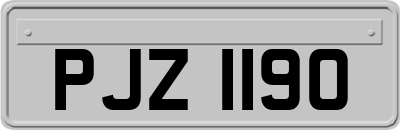 PJZ1190