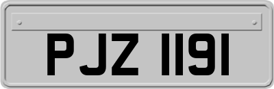 PJZ1191