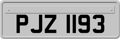 PJZ1193