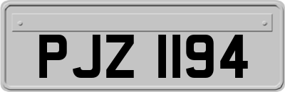 PJZ1194