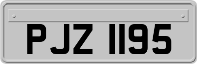 PJZ1195
