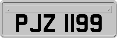 PJZ1199
