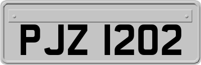 PJZ1202