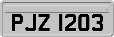PJZ1203