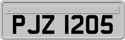 PJZ1205
