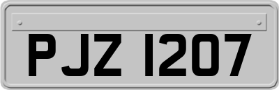 PJZ1207