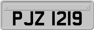 PJZ1219